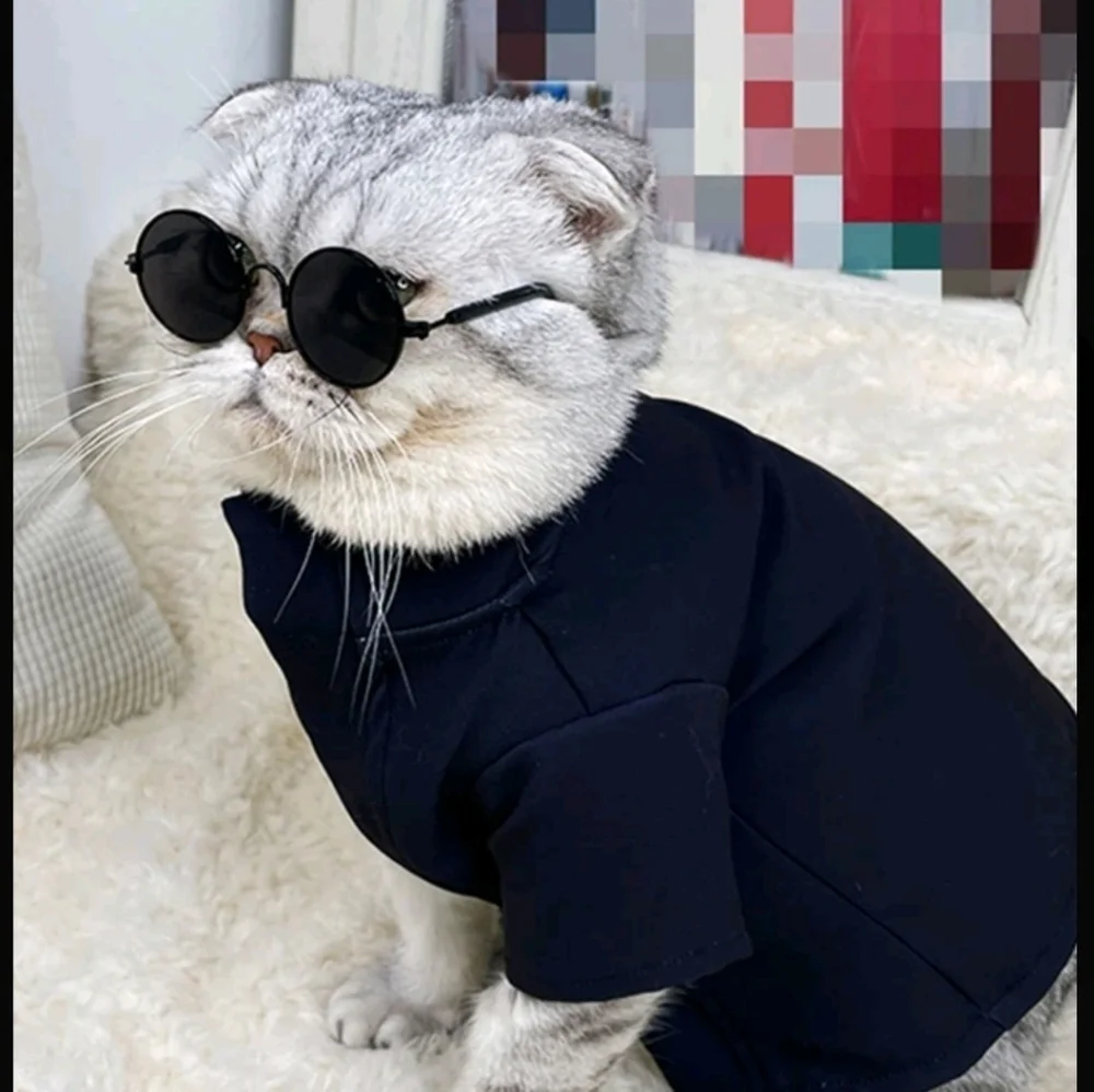 NWT Pet glasses - Picture 2 of 2